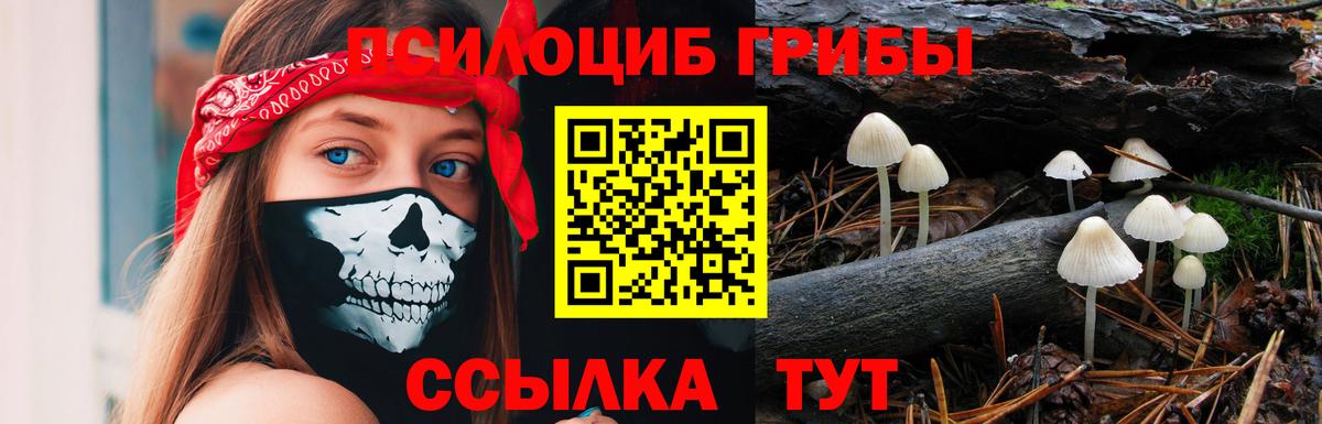 Псилоцибиновые грибы ЛСД Салават