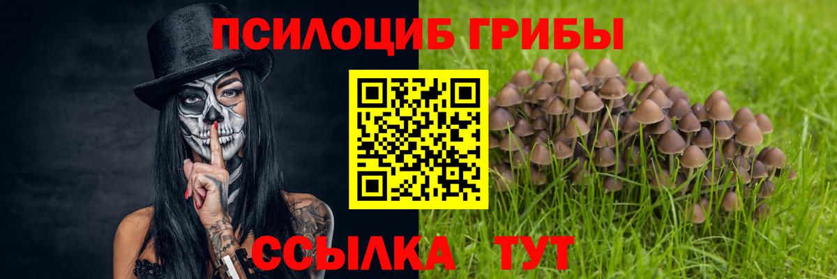 Галлюциногенные грибы Magic Shrooms  Галлюциногенные грибы Psilocybe  как найти наркотики  Вход с VPN  Салават 